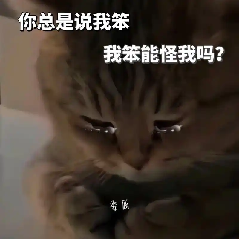 你总是说我笨,我笨能怪我吗?我脑袋一共就这么大,全都用来想你 - 抖音