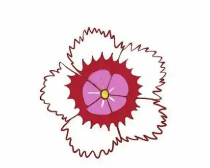 石竹花简笔画的画法步骤教程及图片大全