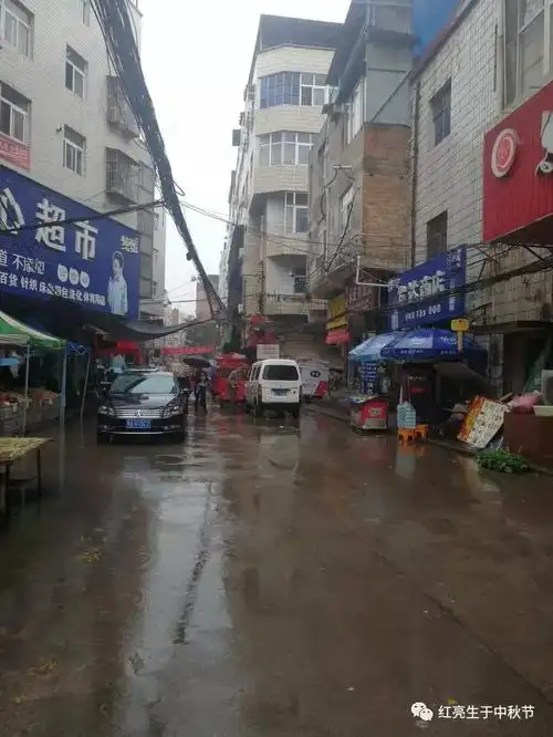 雨中洛阳东下池