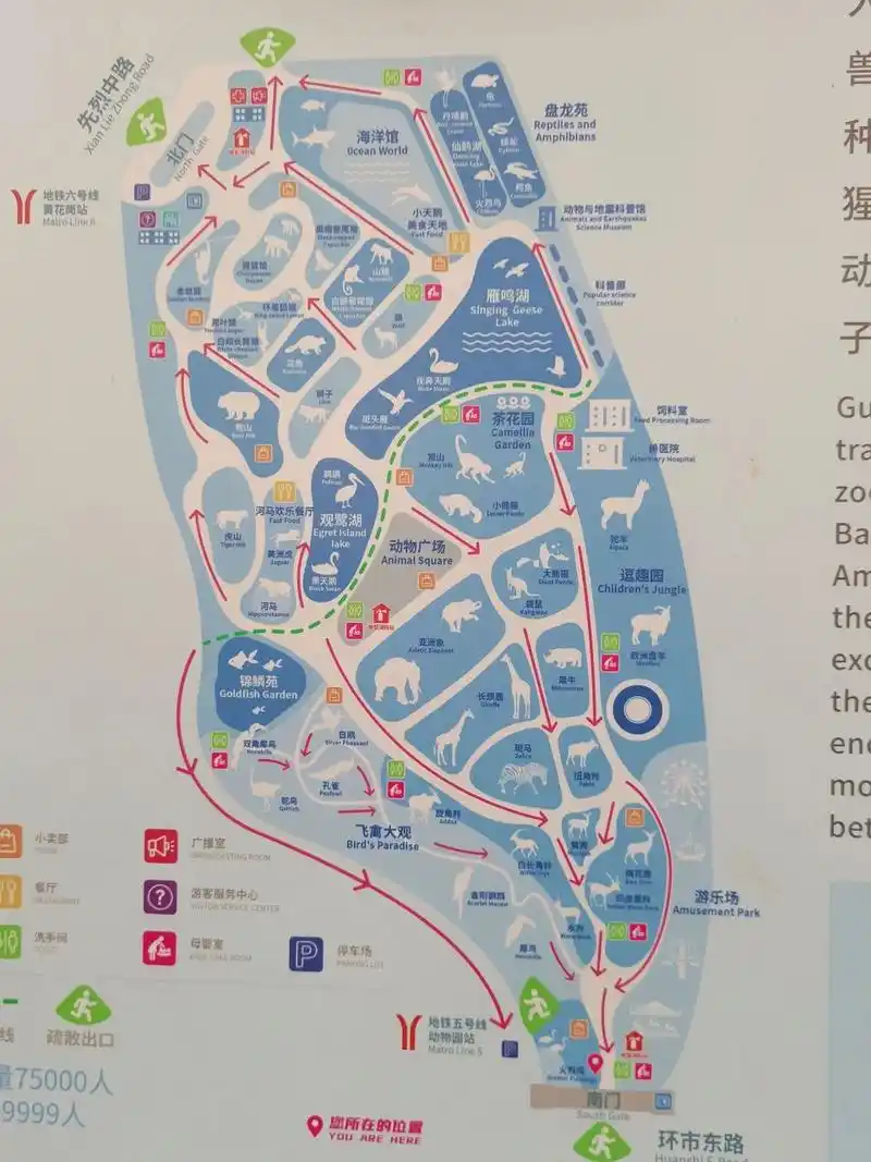 广州动物园攻略 真的可以玩一天时间长的话,可以从北门慢慢悠悠走过去