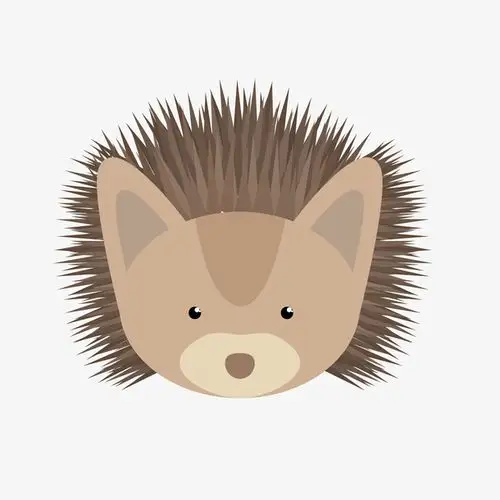 刺猬头像png下载
