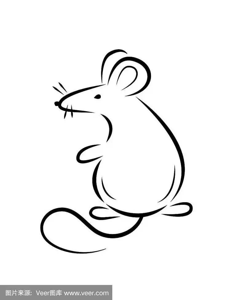 黑色的剪影一只老鼠或老鼠在一个白色