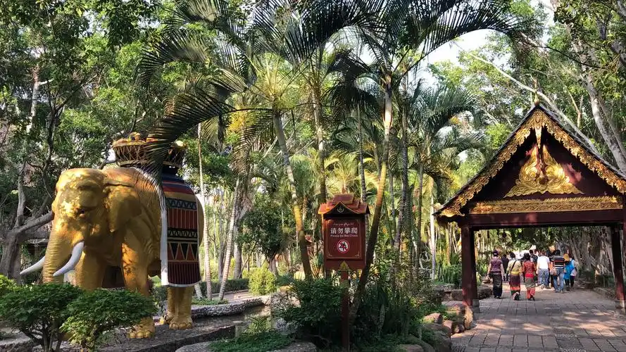 澜沧江边一个古朴的傣族村寨西双版纳傣族园