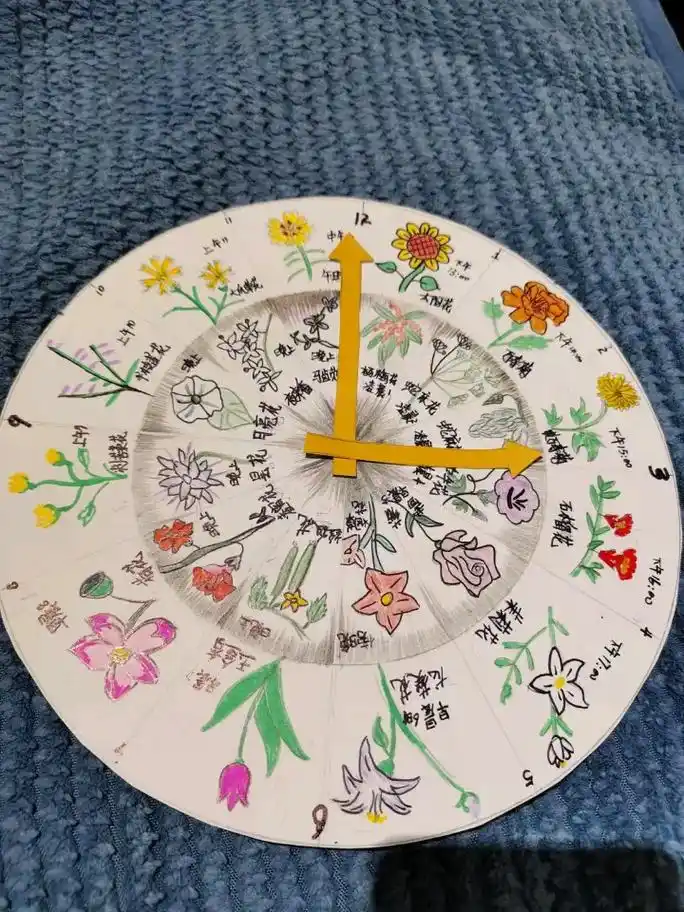 时钟花#手工 三年级时钟花  - 抖音