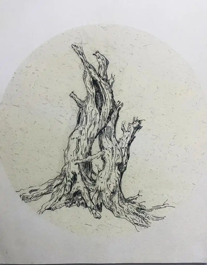 枯树94速写.#手绘 #乱涂乱画系列 #黑白线描画 #艺术创 - 抖音