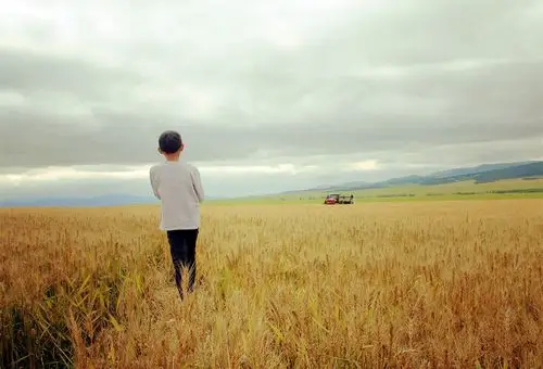 麦田守望者 - 人物类-摄影大赛2016 - 国家地理中文网
