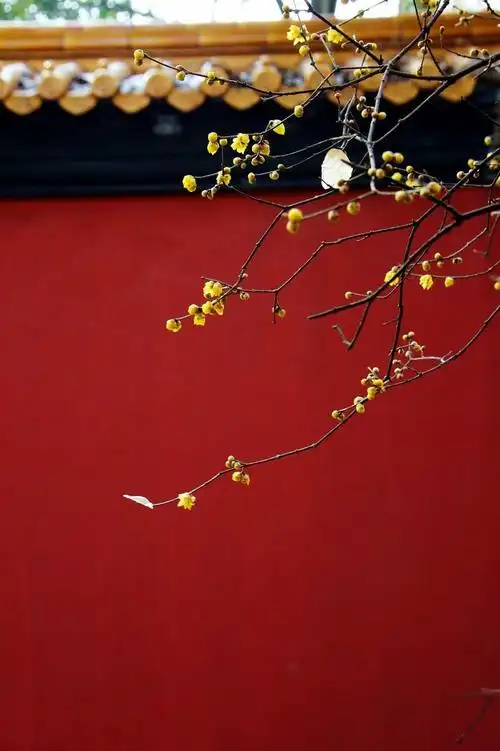 红色  紫禁城墙 中国北京 红色  紫禁城墙 中国北京