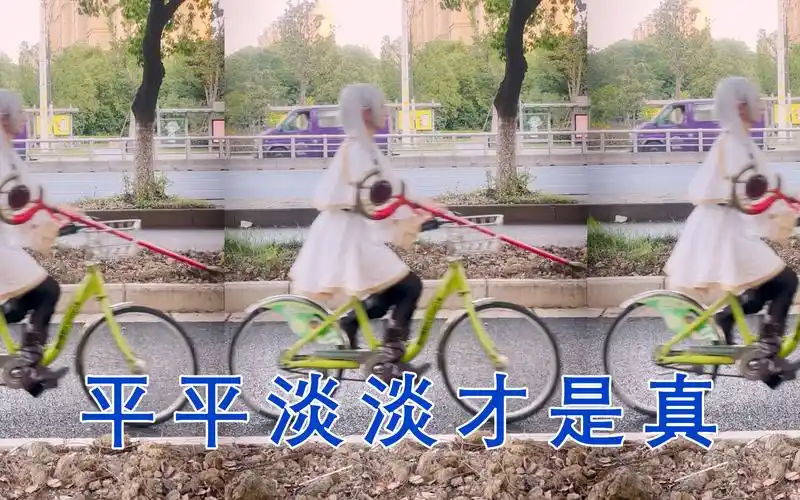 平平淡淡才是真