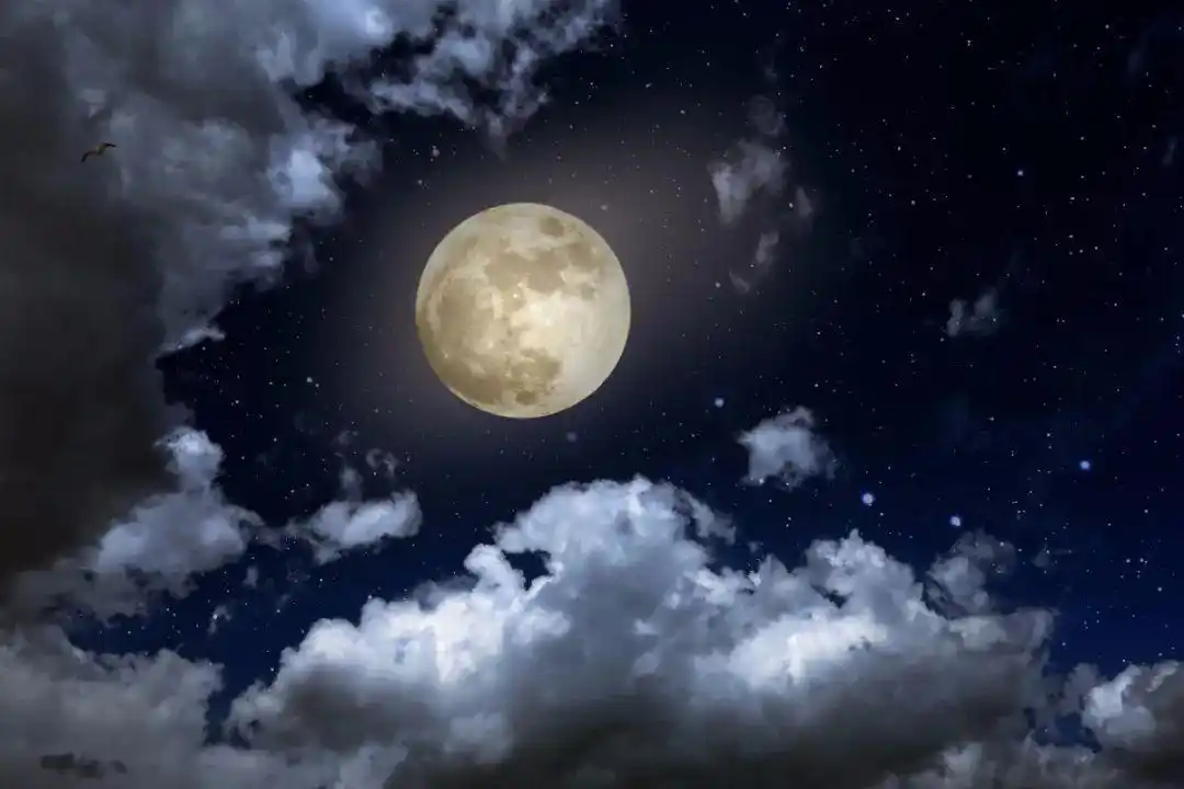 十五的月亮十五圆!今年最大一轮满月,好好欣赏了吗?