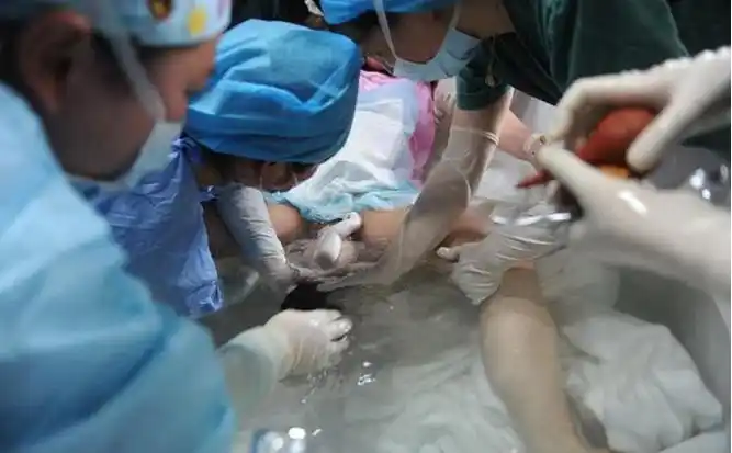 不过如果在能够选择的前提之下,还是选择白天的时候生孩子比较好,因为