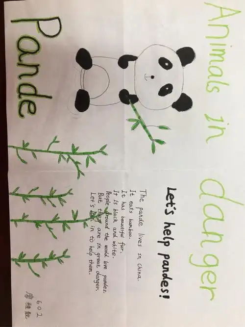 602保护濒危动物优秀海报