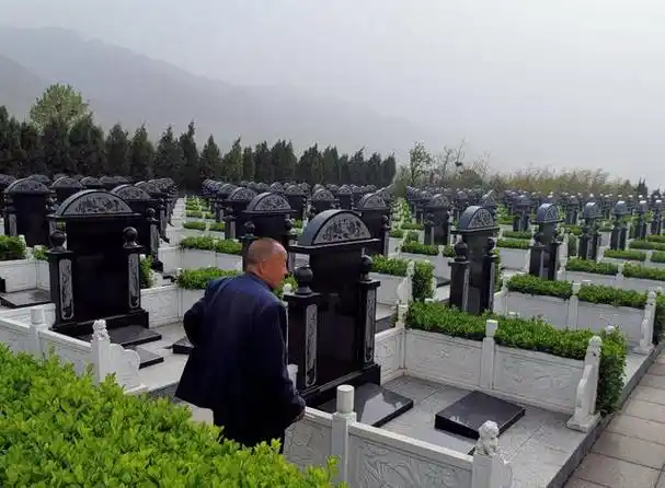 公墓期限只有20年,如果到期后子孙没有续费,骨灰会被挖出来吗?