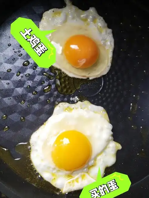 97→84第13天:早餐:两个鸡蛋 燕麦粥午餐:水煮土豆 牛肉晚餐:芹菜炒肉