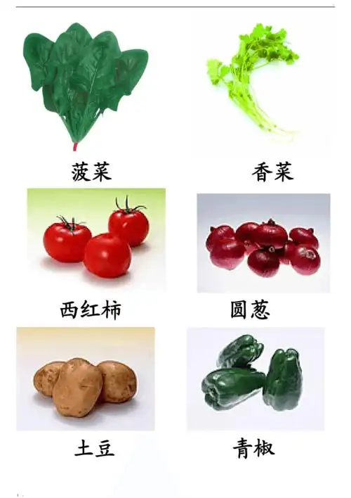 蔬菜图片大全