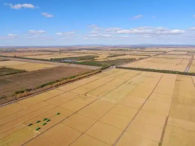 "航拍龙江"聚焦"北大仓"