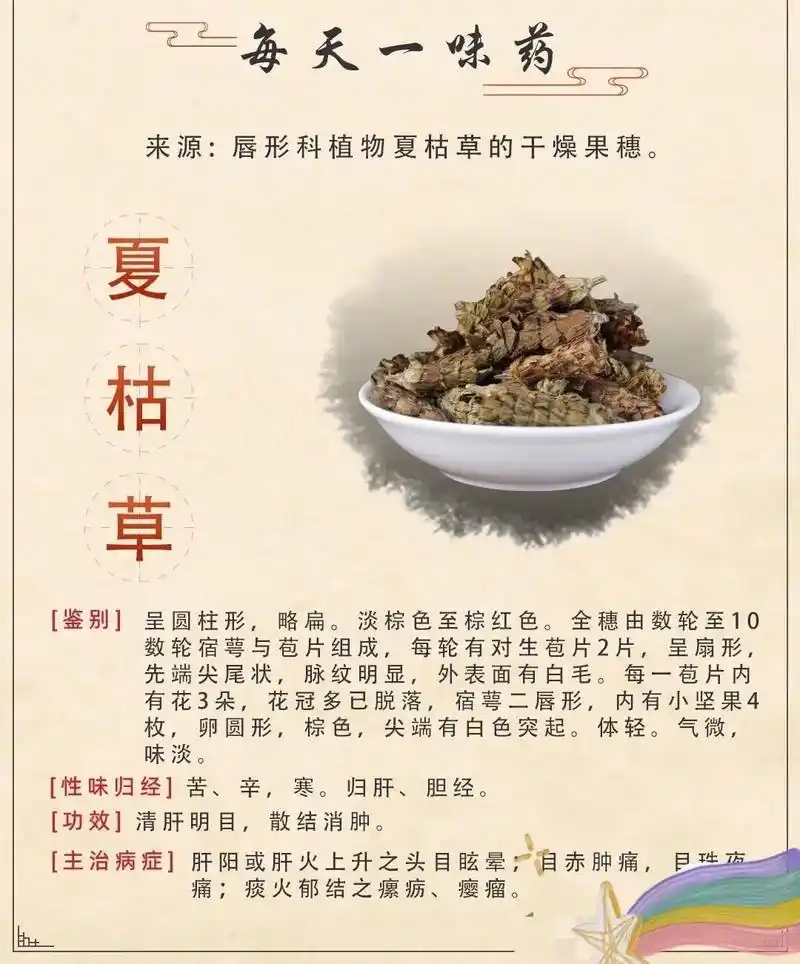 夏日需要夏枯草,脾胃虚寒者记得加片姜片.夏枯草,使清肝明目, - 抖音