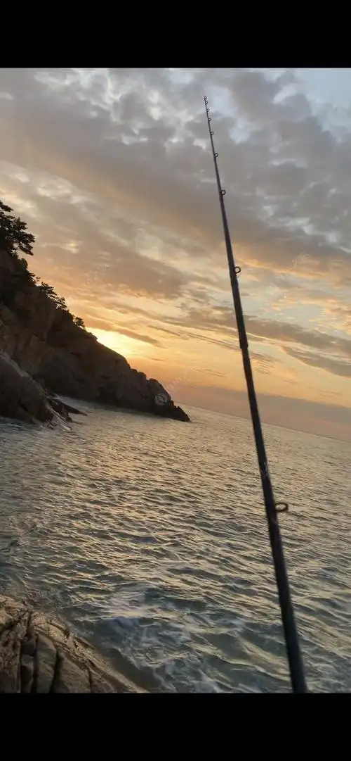 路亚钓鱼-路亚中鱼的4大要素