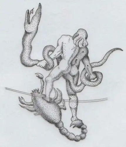 到底十二星座还是十三星座蛇夫座什么理由