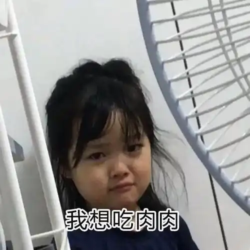 我想吃肉肉女孩纸的一天67权律二表情