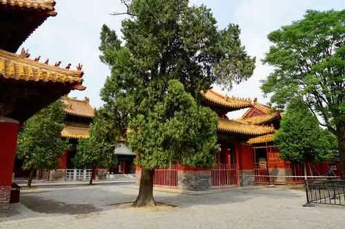 十三碑亭保存封建皇帝御制石碑,也称"御碑亭"