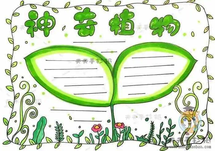 我喜欢的植物手抄报 植物手抄报