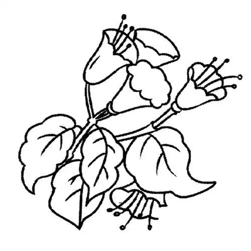 用"四心"打造民办高校党建工作新常态