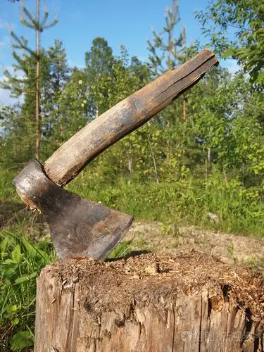在树桩的斧头的照片