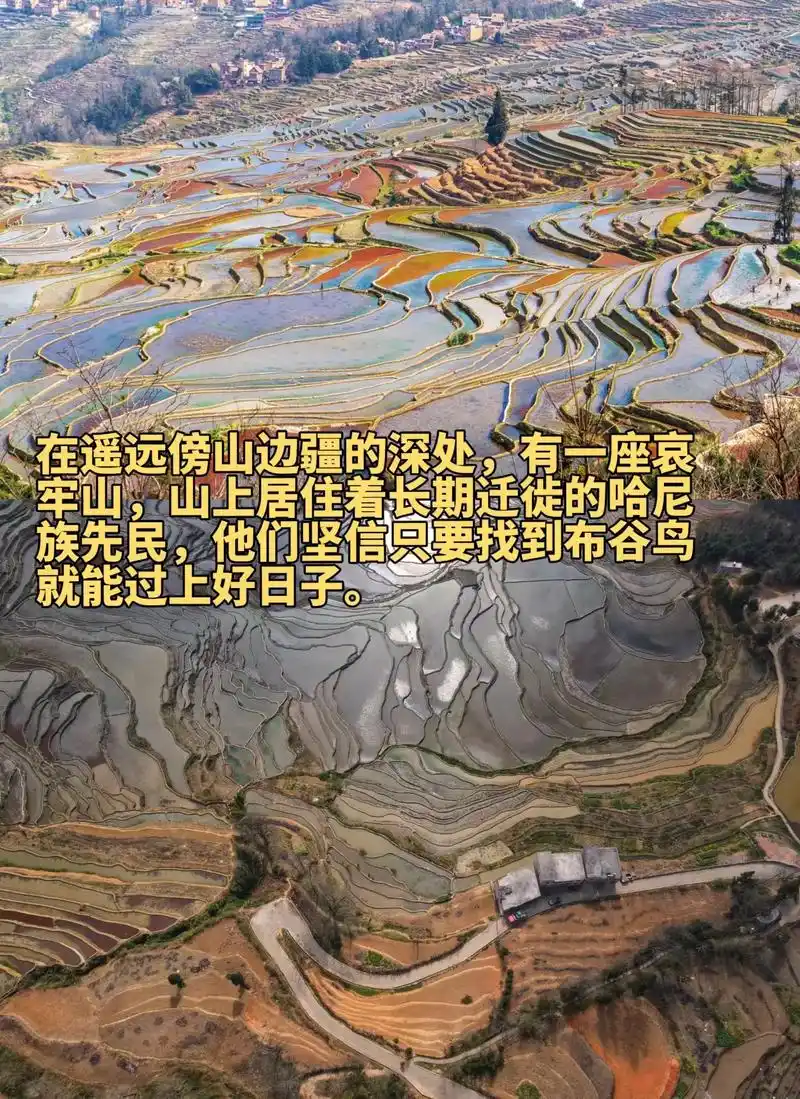 元阳梯田,哈尼族人千年的浪漫!阿罗寻找布谷鸟的旅程就像哈尼 - 抖音