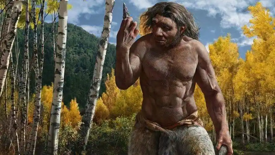 一起看远古人类的饮食密码!_食物_生活_块茎