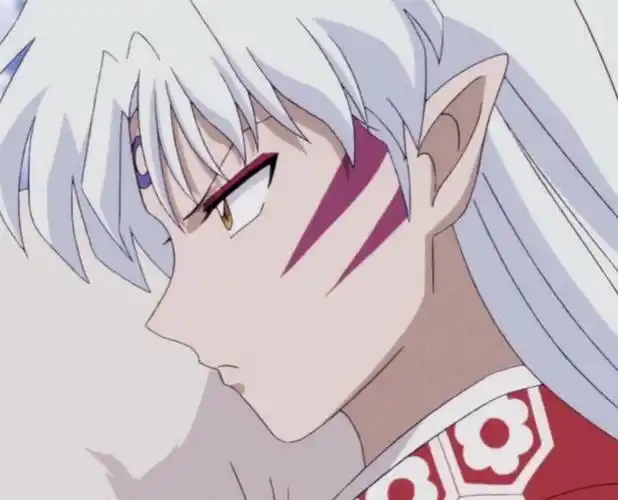 杀生丸图片来自网络如有侵权我立删