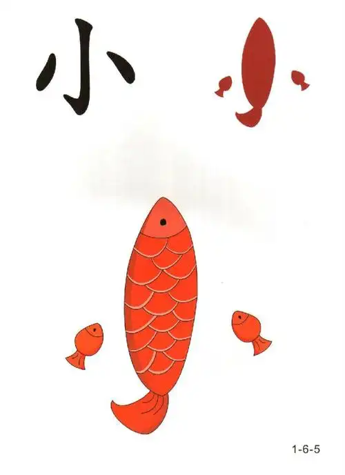 100张图片教会孩子快速识字