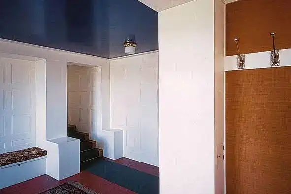 经典再读56 | 穆勒住宅:路斯与"空间体积规划" – 有方