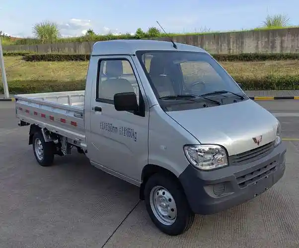 五菱牌lzw1020equ载货汽车公告图片