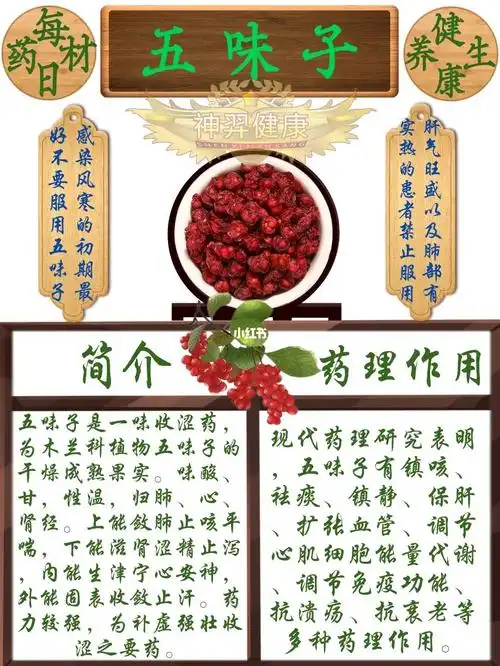 五味子简介及作用