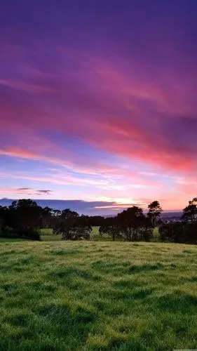 三星手机壁纸【1440x2560】自然 清晨
