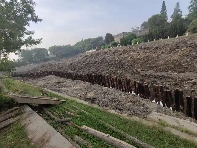 产品名称:松木桩厂家