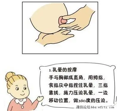 催乳秘籍:图解孕期胸部按摩法