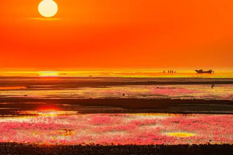 风光摄影:秋日的辽宁兴城红海滩