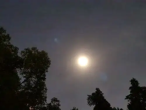 月光就在窗外静静地照着既不时尚也绝不过时