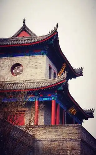 这,就是青岛!为你倾倒!