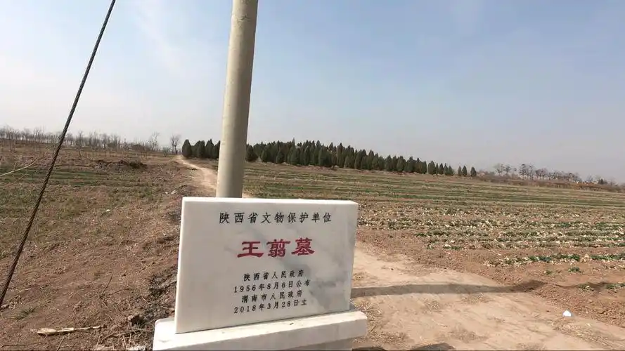 秦将军墓1王翦老将军墓现状2018年航拍于富平王者天下相关历史遗迹