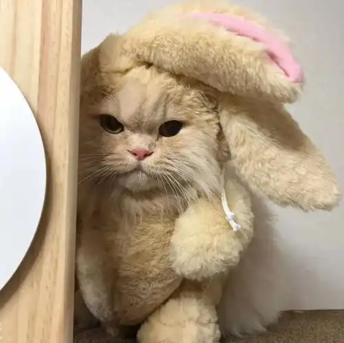 别让世俗淹没生活的浪漫和热情