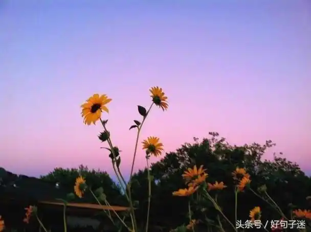 2021简单快乐的心态句子让人心情好的幽默句子