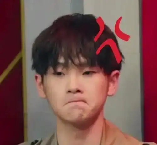 r1se表情包周震南