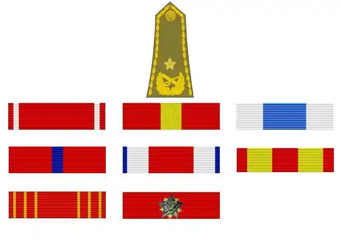 杜尚·彼得罗维奇·萨内