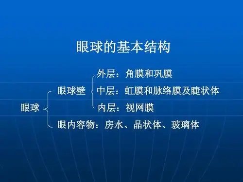 眼部疾病的超声诊断ppt 眼球的基本结构 外层:角膜和巩膜 眼球壁 眼球