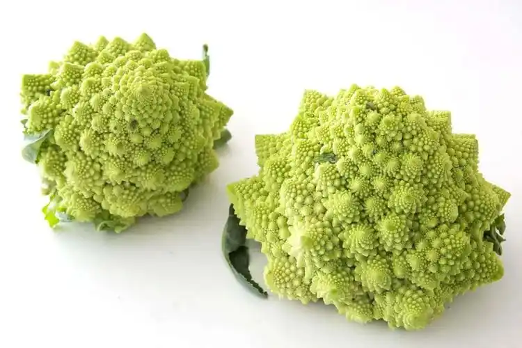 西班牙超市里的奇葩蔬菜好家伙原来这么多年我都认错了