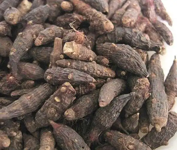 香附,别名:雀头香,莎草根,香附子,雷公头,香附米,三棱草根,苦羌头,为