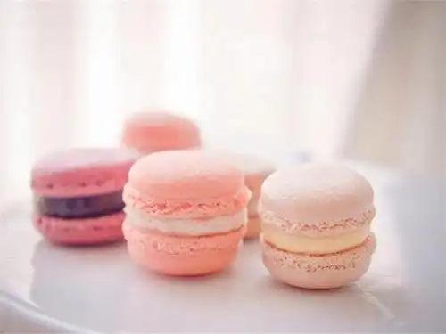 甜品厨房:漂亮甜蜜的马卡龙