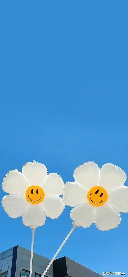 2023夏日清新风景锁屏壁纸图片_海边的唯美手机壁纸大图_绿色_风筝